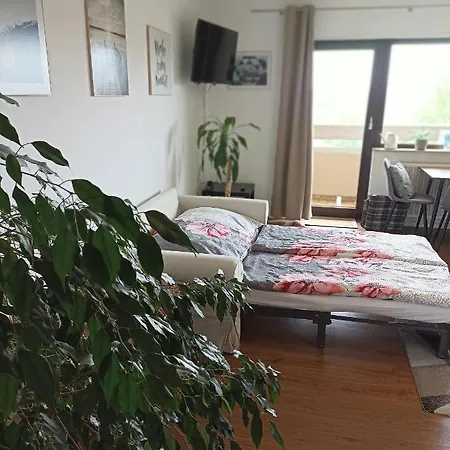 Exklusives Zw. Lu Und Speyer Mit Aufzug Apartment Neuhofen